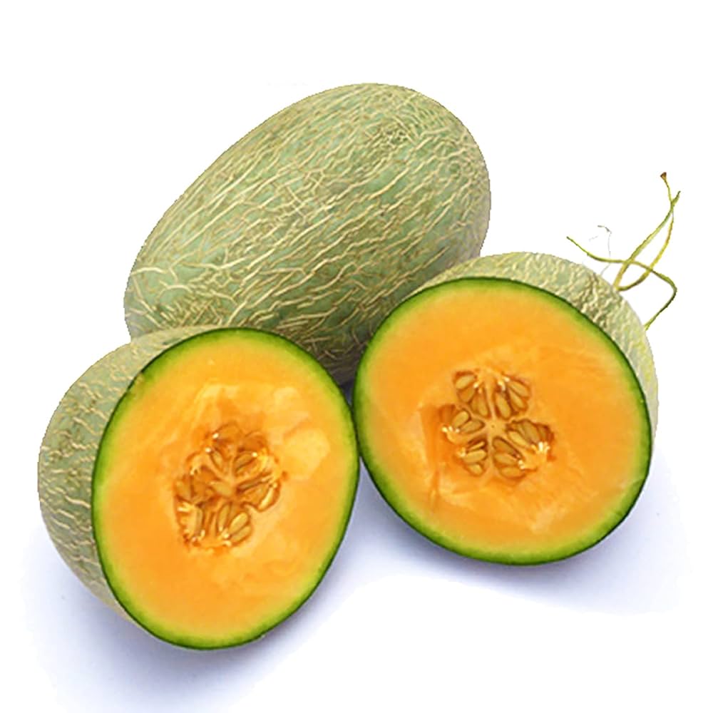 Cucumis Melo Brown Cantaloupe Melon Seeds for Home Garden