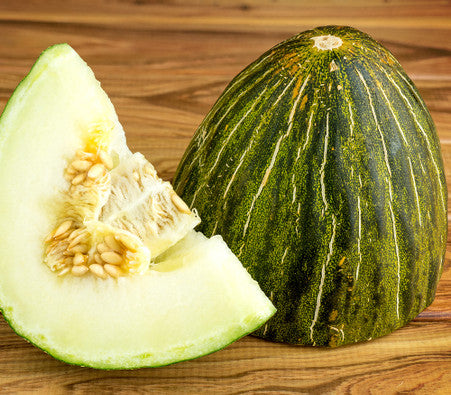 Cucumis melo Piel de Sapo melon fruit cut open