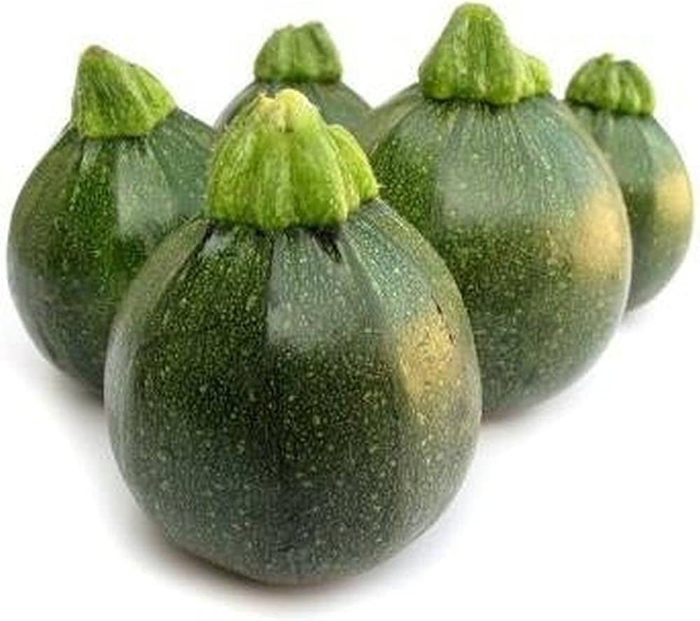 Cucurbita pepo Summer Squash seeds