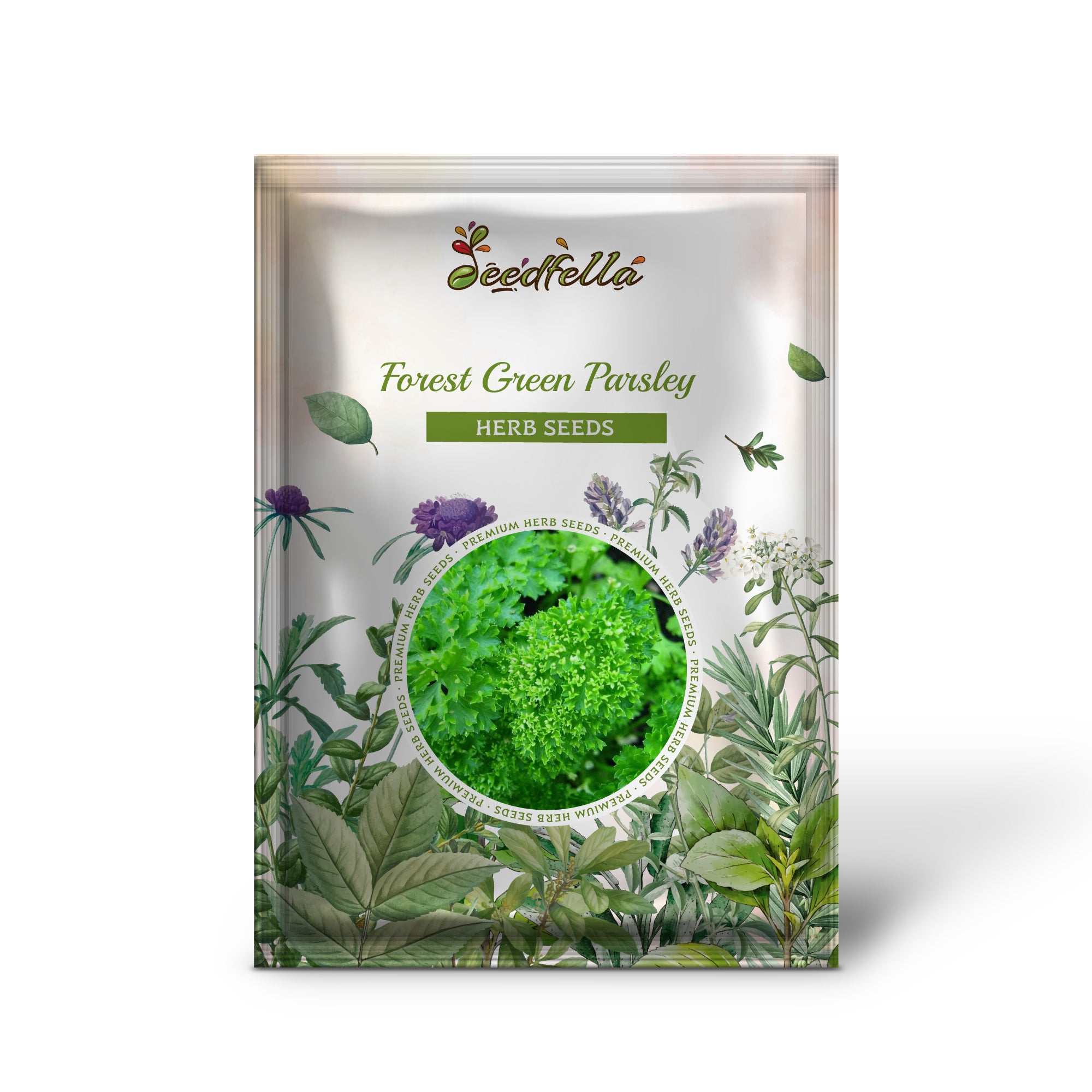 Close-up of deeply curled Forest Green Parsley leaves