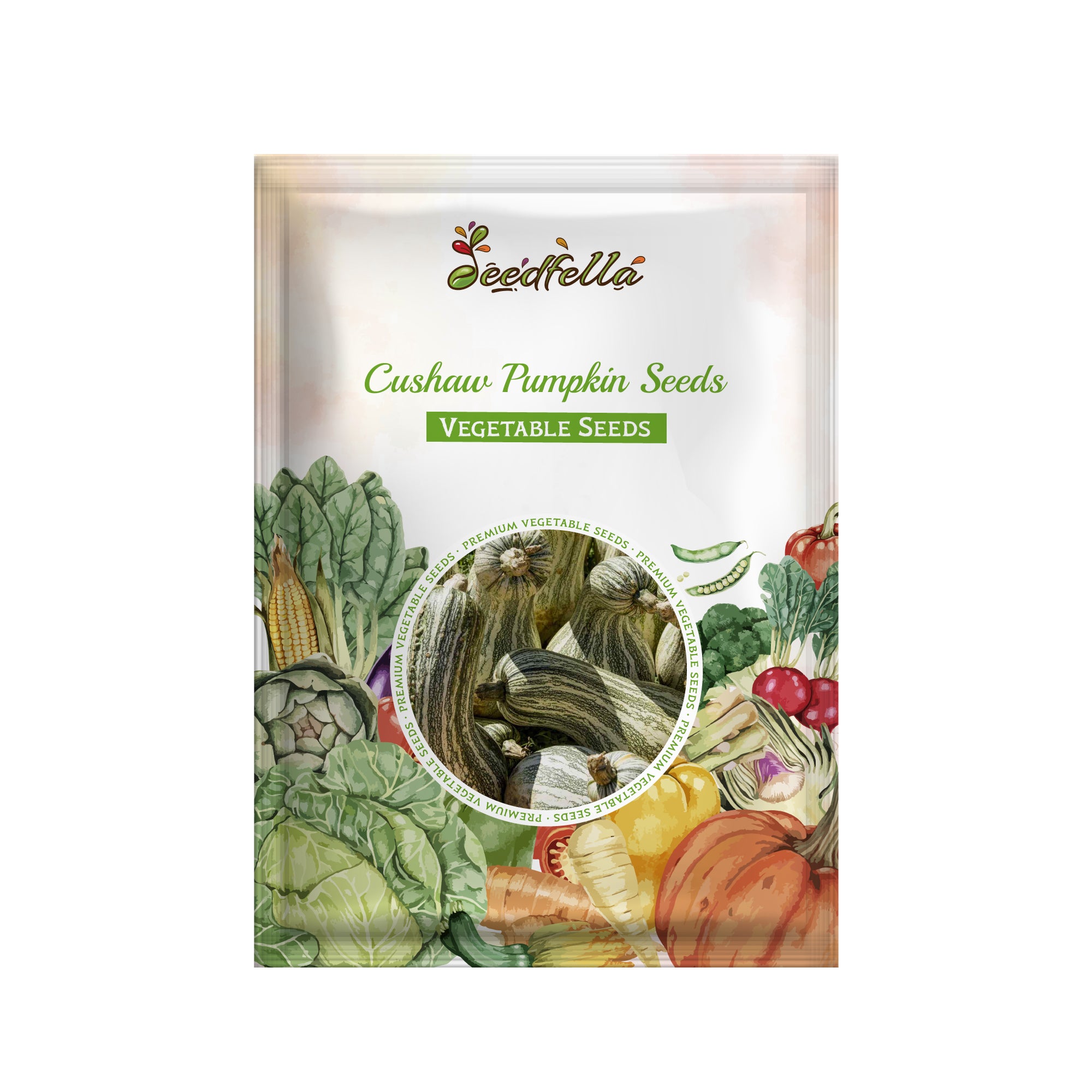 Cushaw pumpkin seeds easy planting