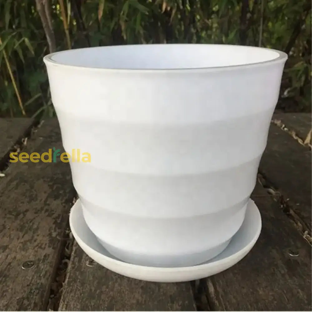 Cute Succulent Flower Pot – Artificial Orchid In Decorative Garden Tools