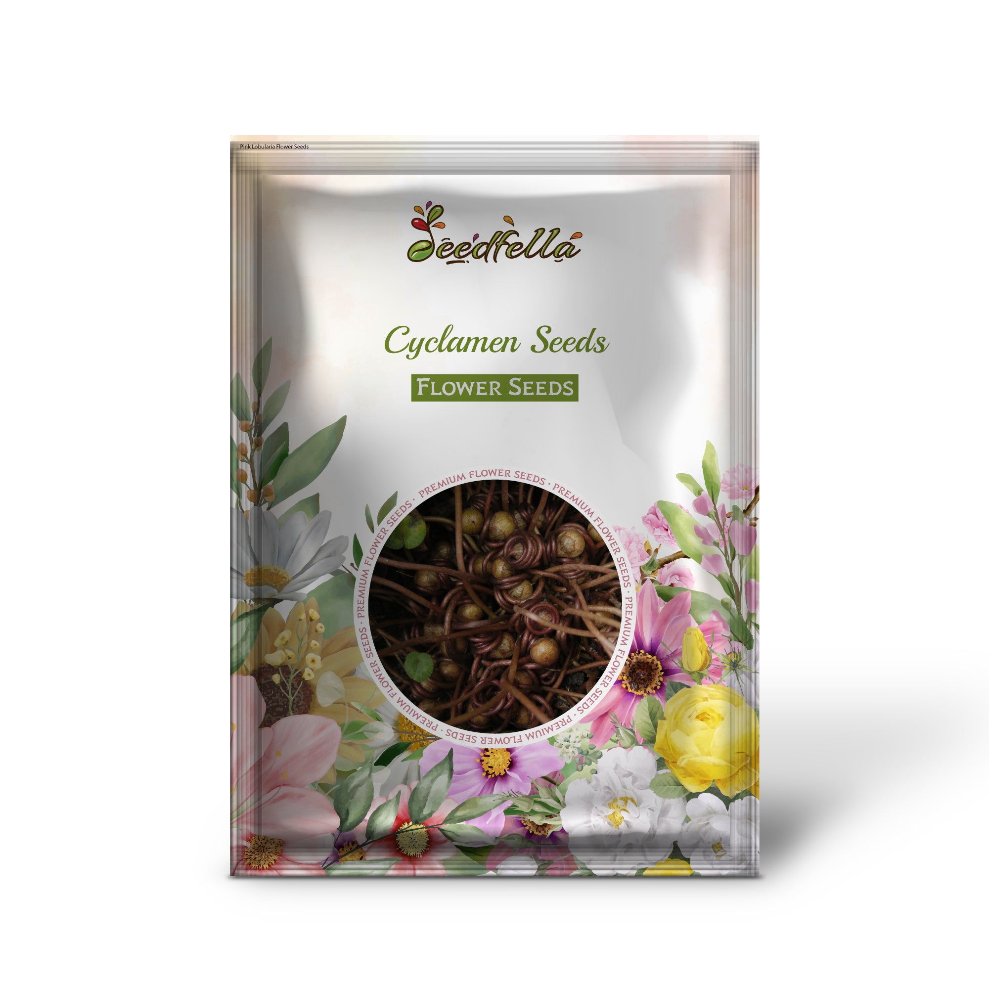 Cyclamen Seeds For Planting