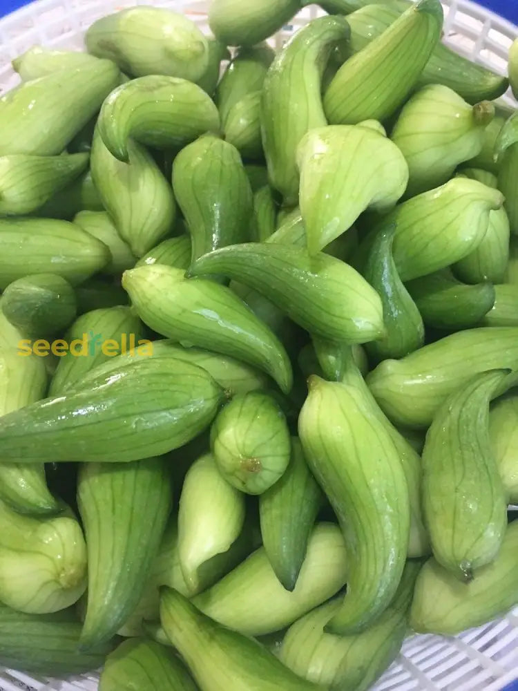 Cyclanthera Pedata seeds (Caigua) for home garden planting