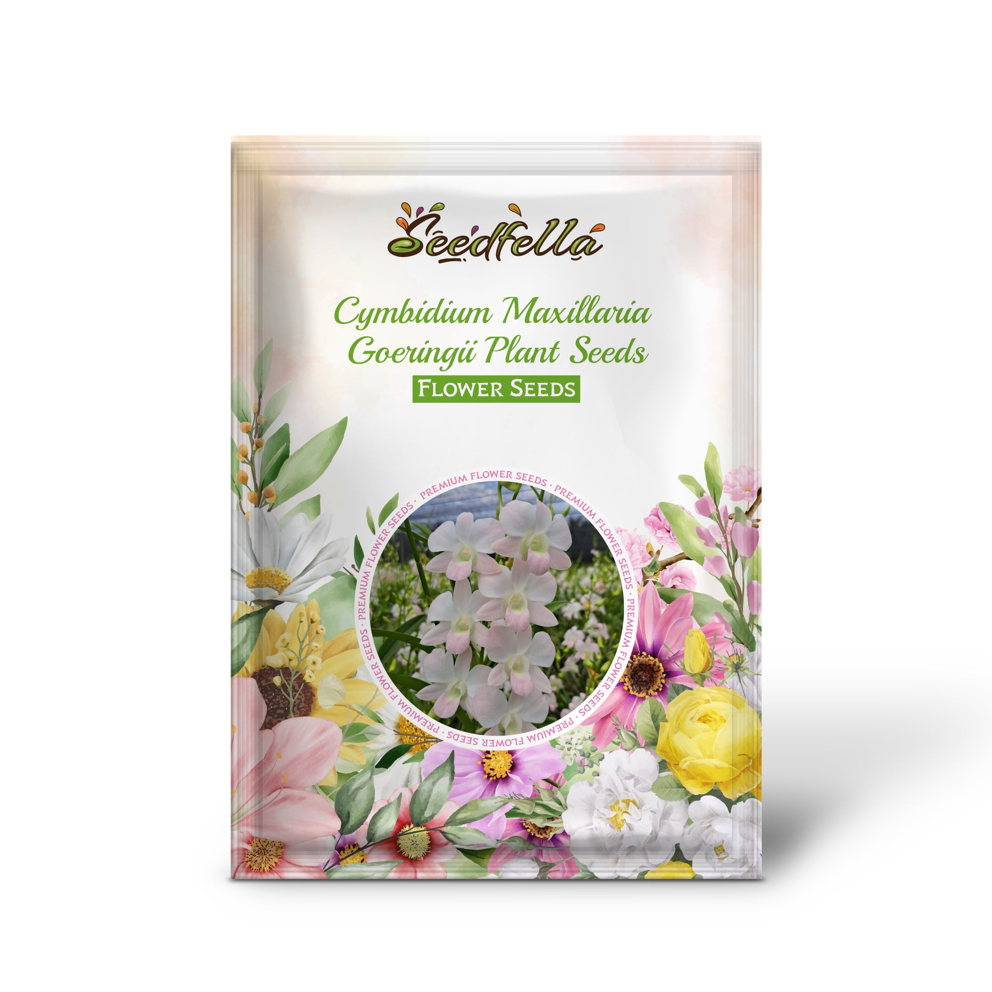 Cymbidium Maxillaria Goeringii seeds germinating seedlings