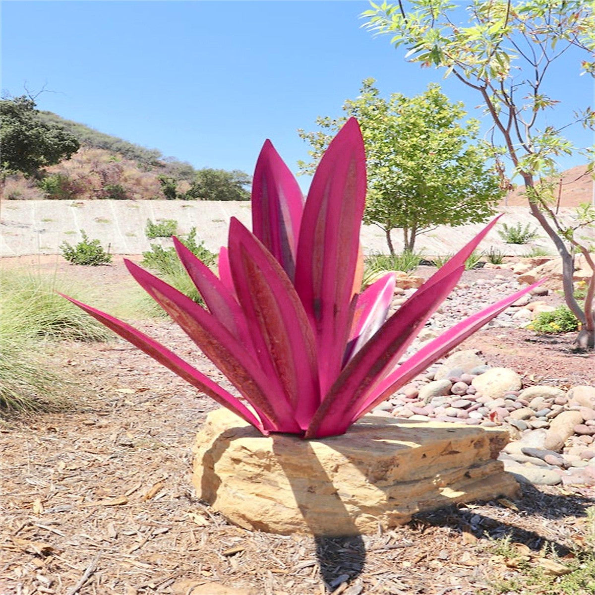 Sansevieria Plant Seeds For Planting Red Green