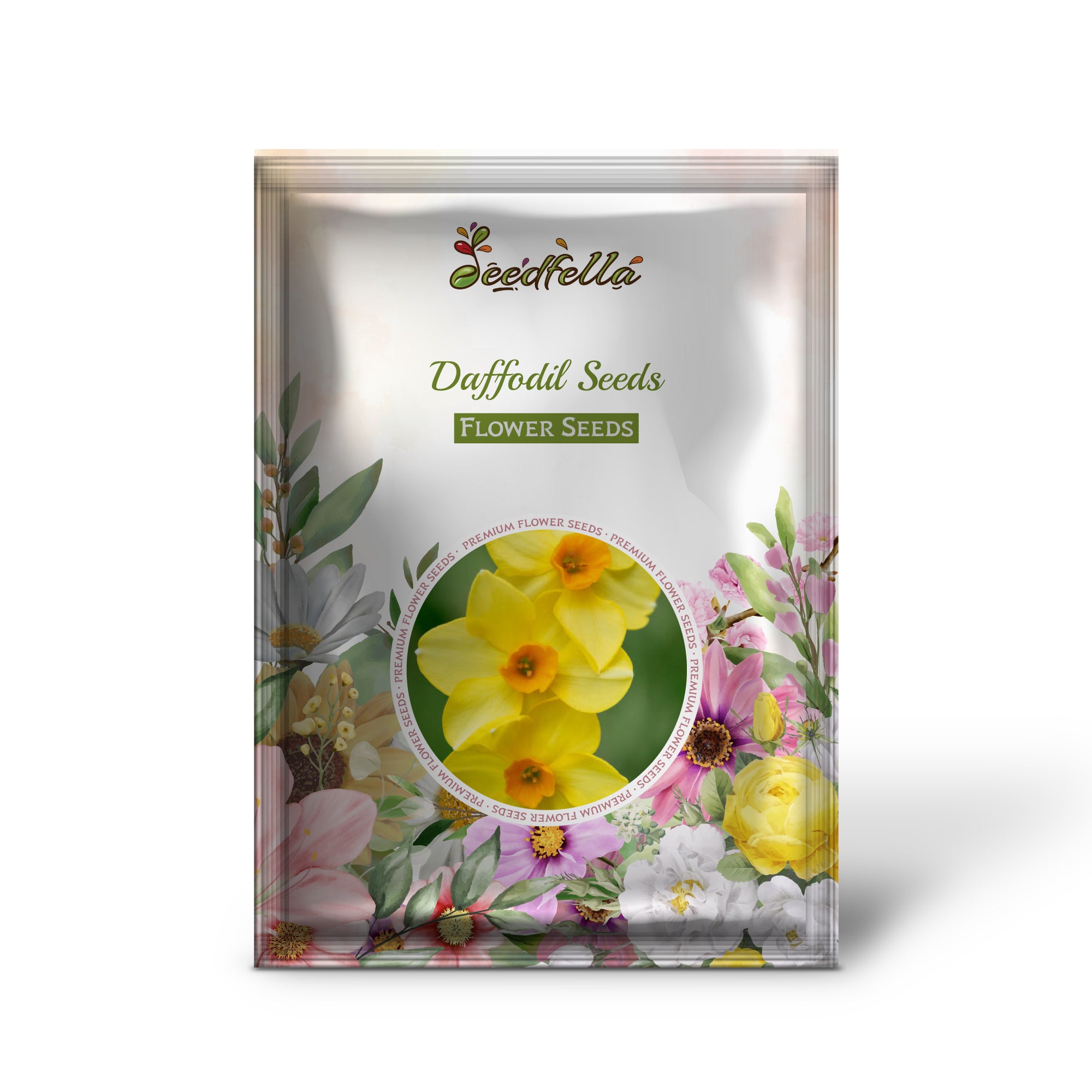 Pale Yellow Daffodil Flowers Blooming in Garden