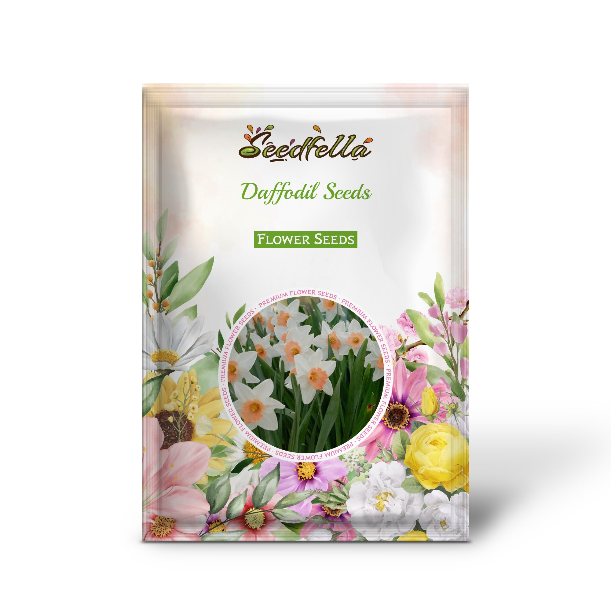 Daffodil seeds germinating into seedlings