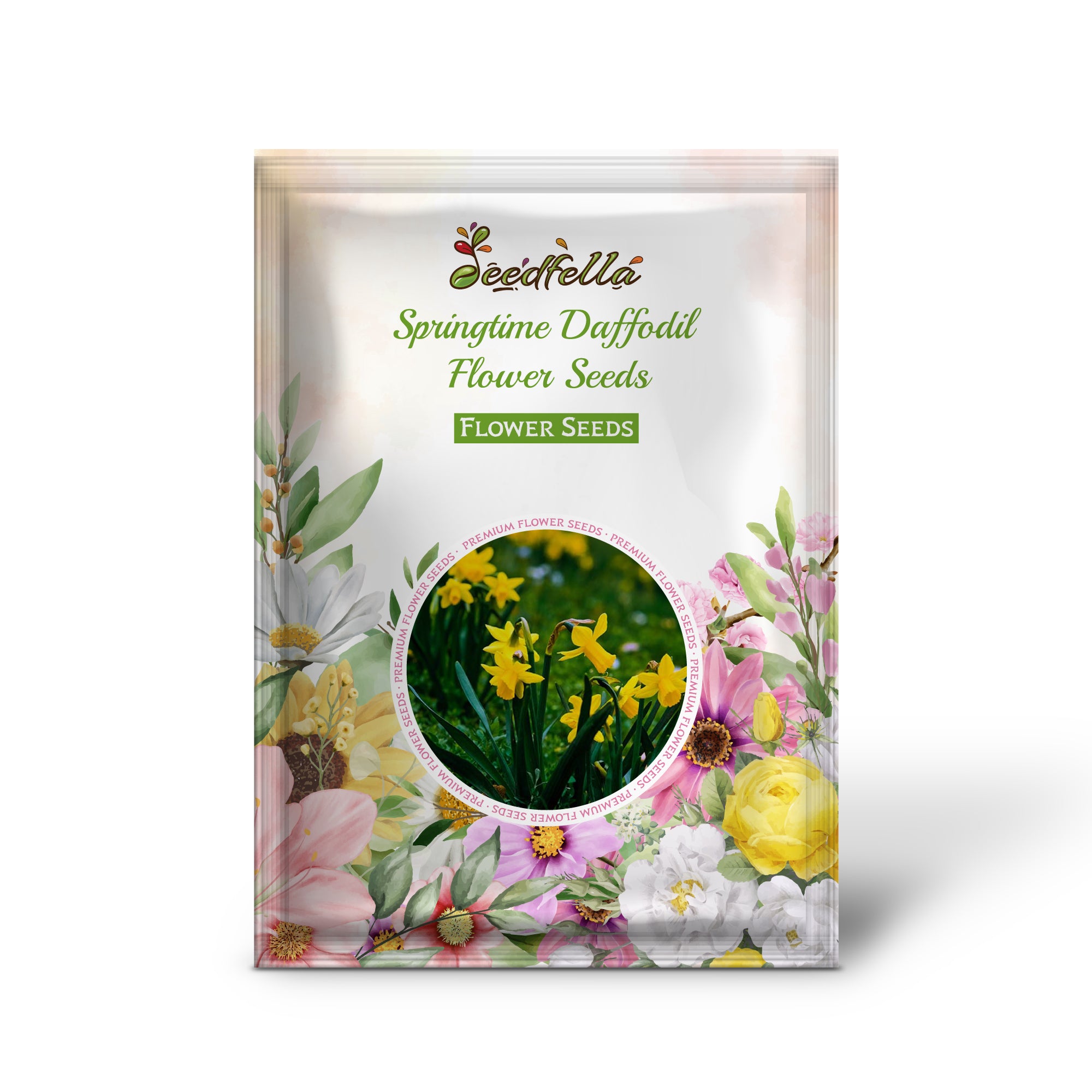 Daffodil Seeds Springtime – Easy Planting Bright Flowers