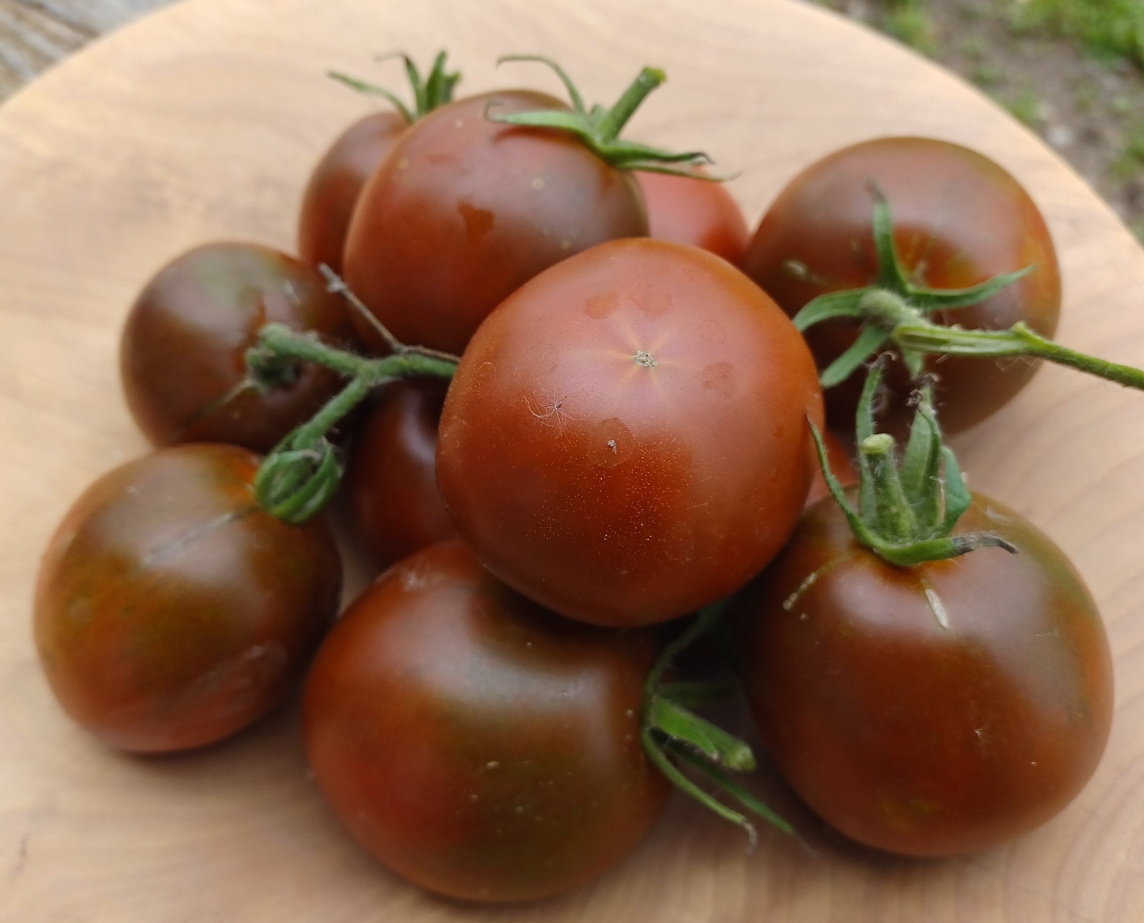 Planting guide for dark grey tomato seeds