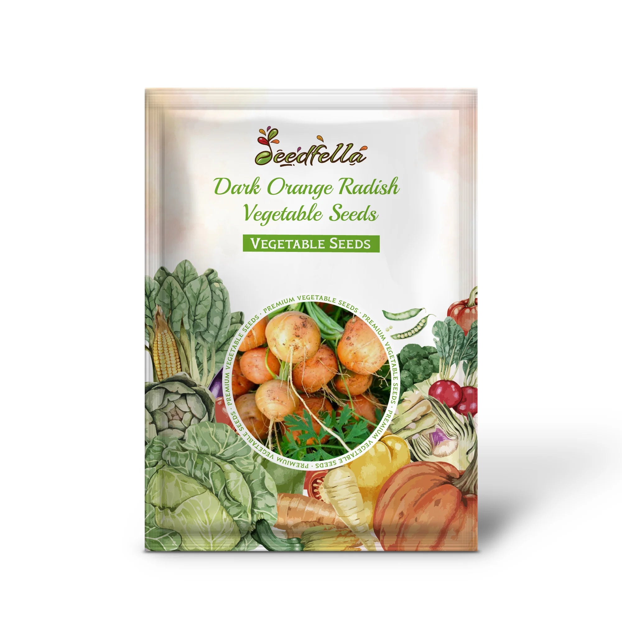 Dark orange radish plants growing in garden beds