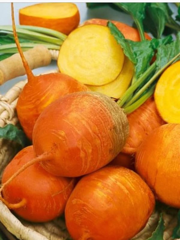 Dark orange radish seeds for planting in home gardens