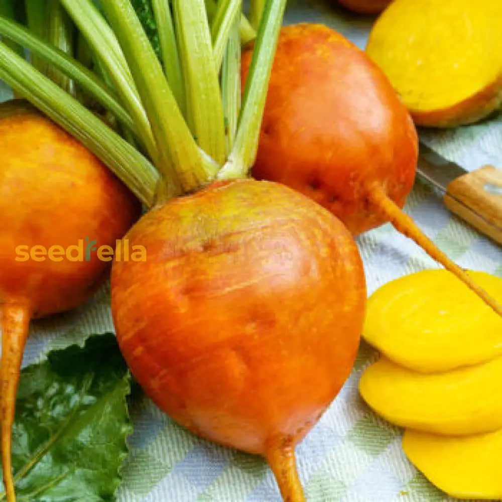 Dark Orange Radish Vegetable Seeds For Flavorful And Nutritious Planting