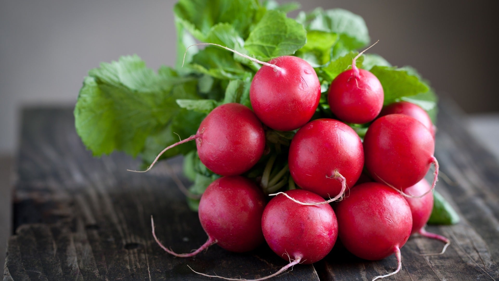 Planting guide for dark pink radish seeds
