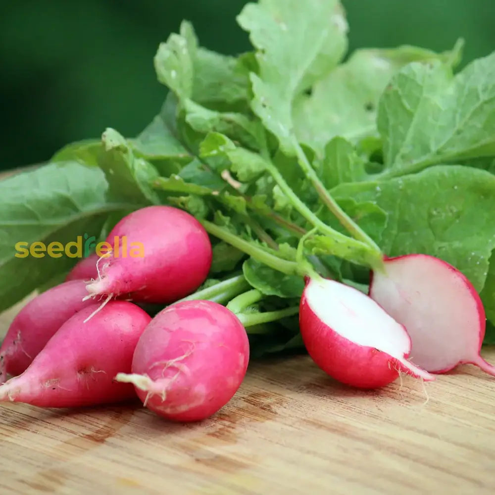 Dark Pink Radish Seeds For Planting - Vibrant Vegetable Variety Seeds