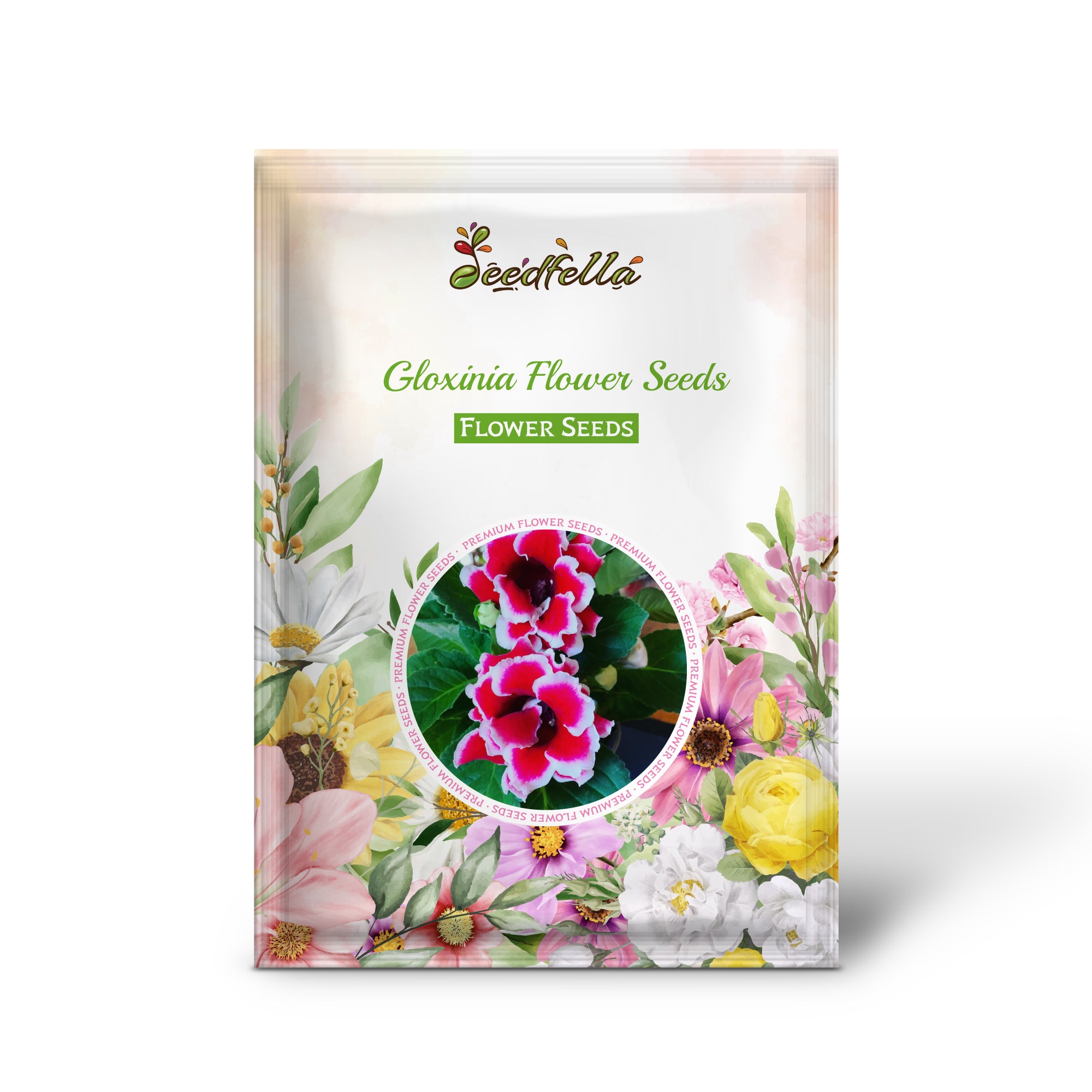 Dark Red and Yellow Gloxinia Blooms for Garden Decoration