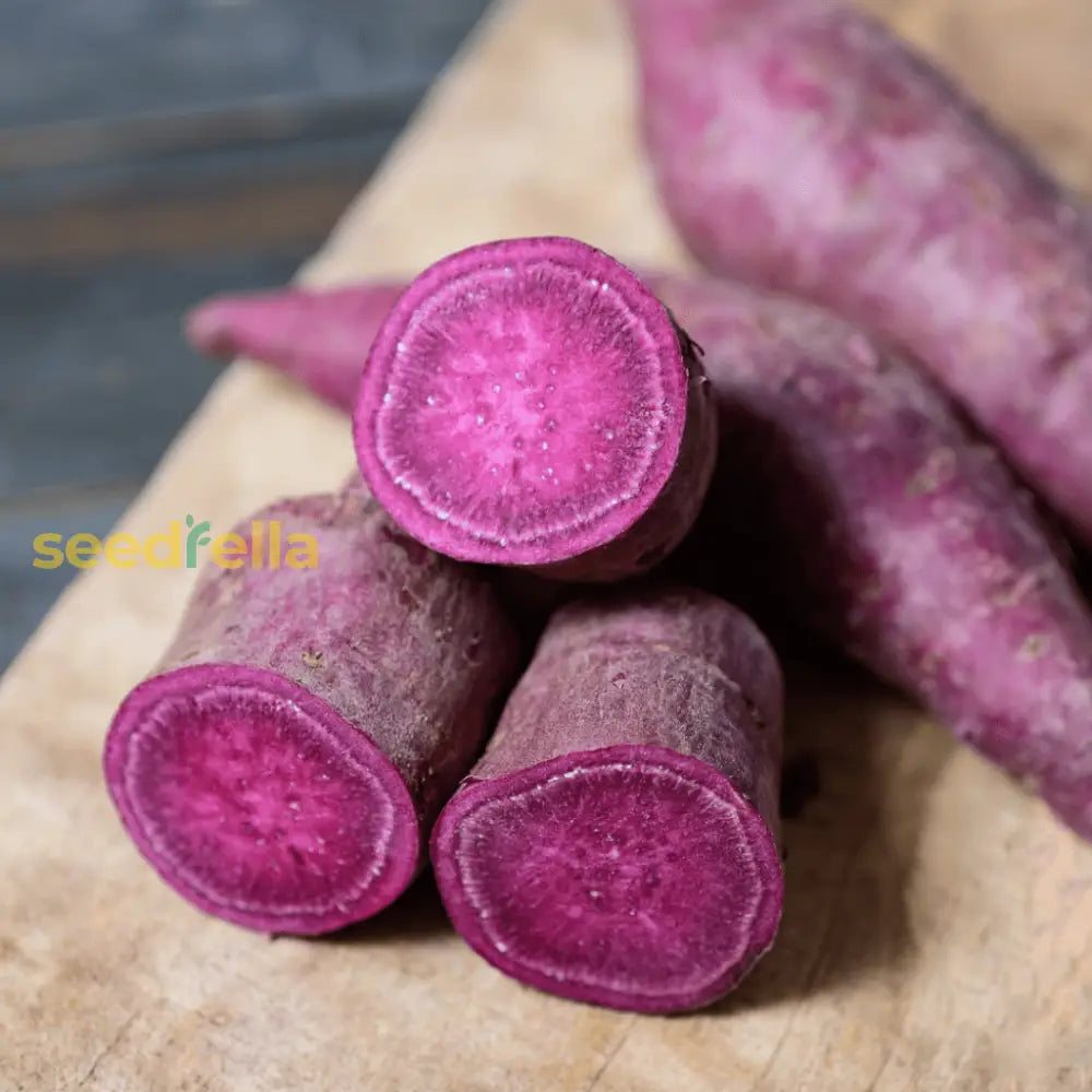 Dark Violet Sweet Potato Seeds For Planting Vegetable Seeds