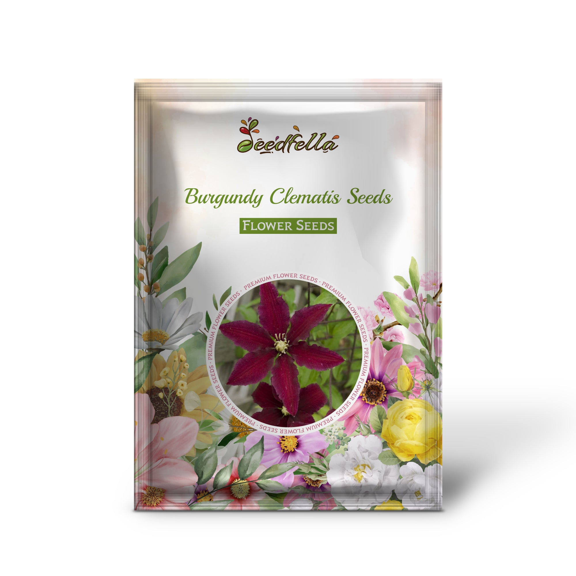 Deep Burgundy Clematis Blooms on Trellis