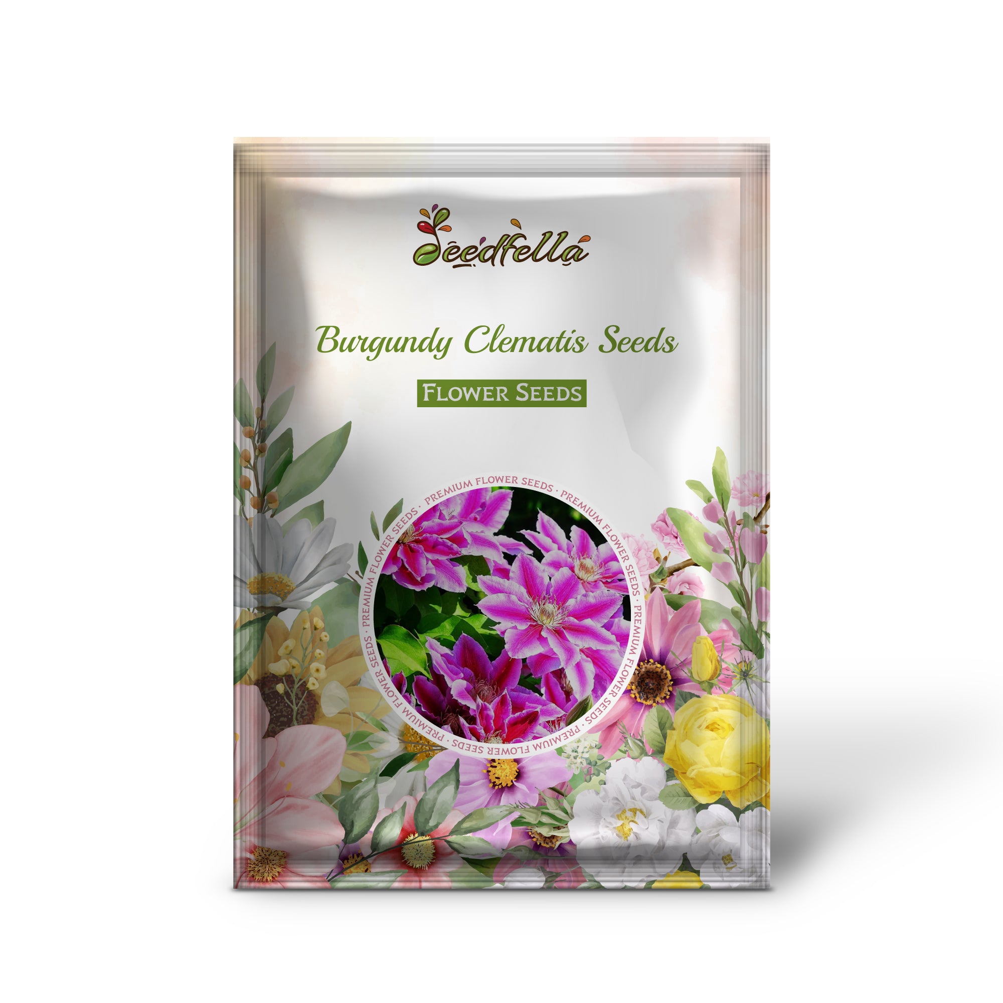 Deep Burgundy Clematis Blooms in Garden