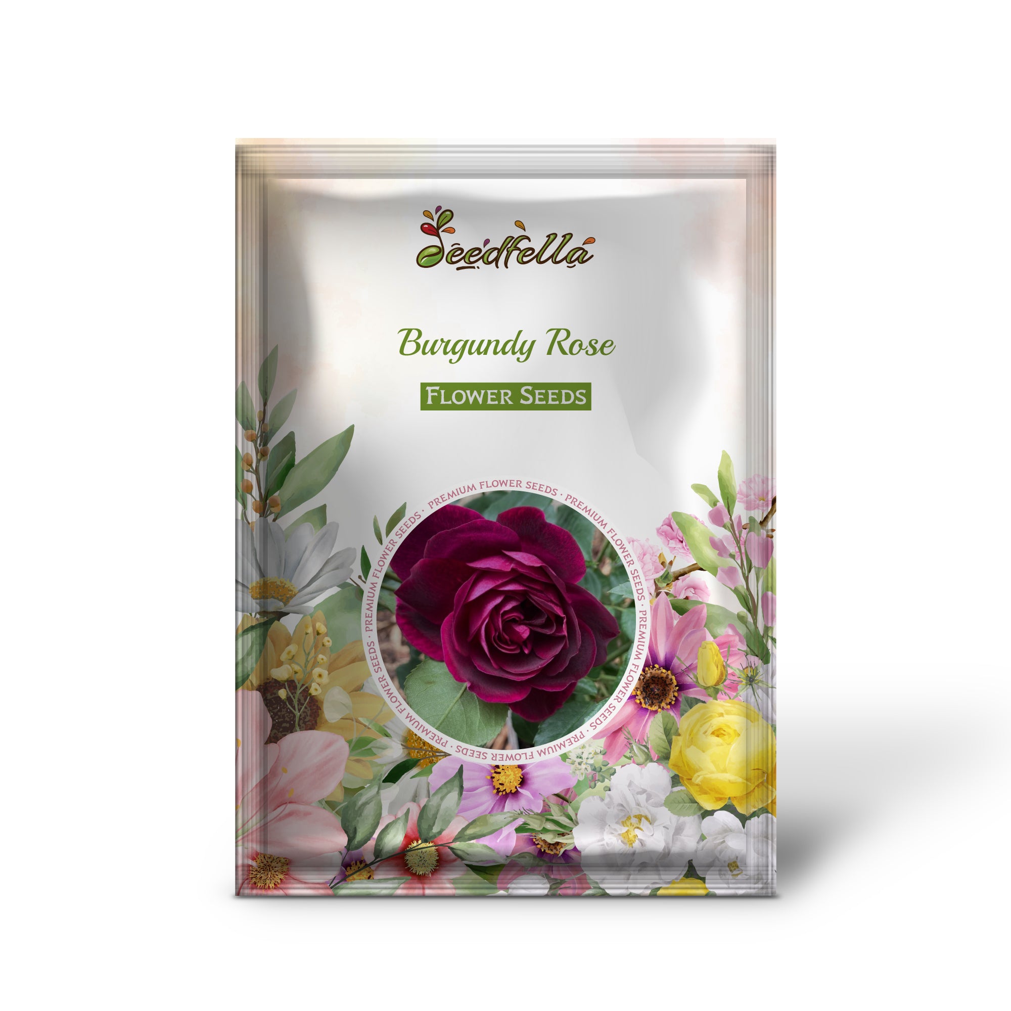 Deep Burgundy Rose Blooms in Garden