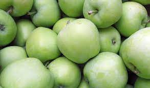 Deep green apples growing on healthy apple tree branches