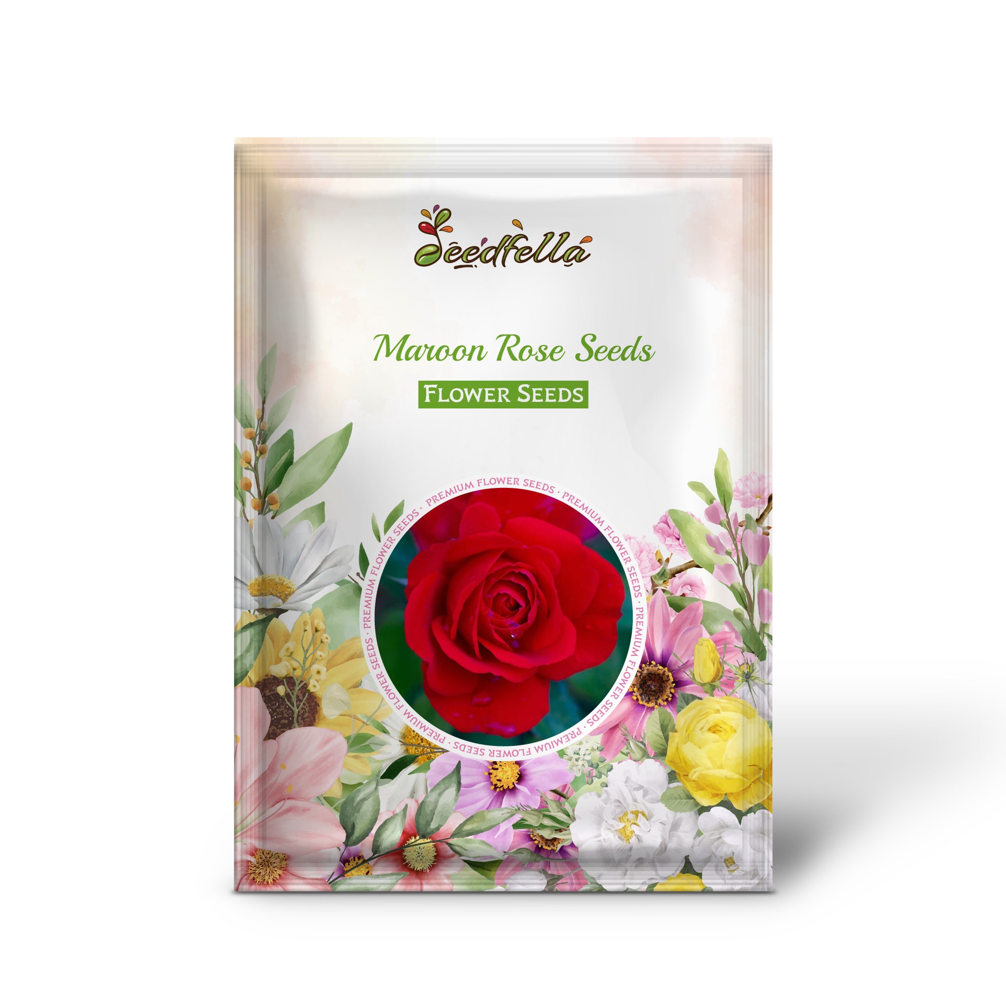 Deep Maroon Roses in Full Bloom