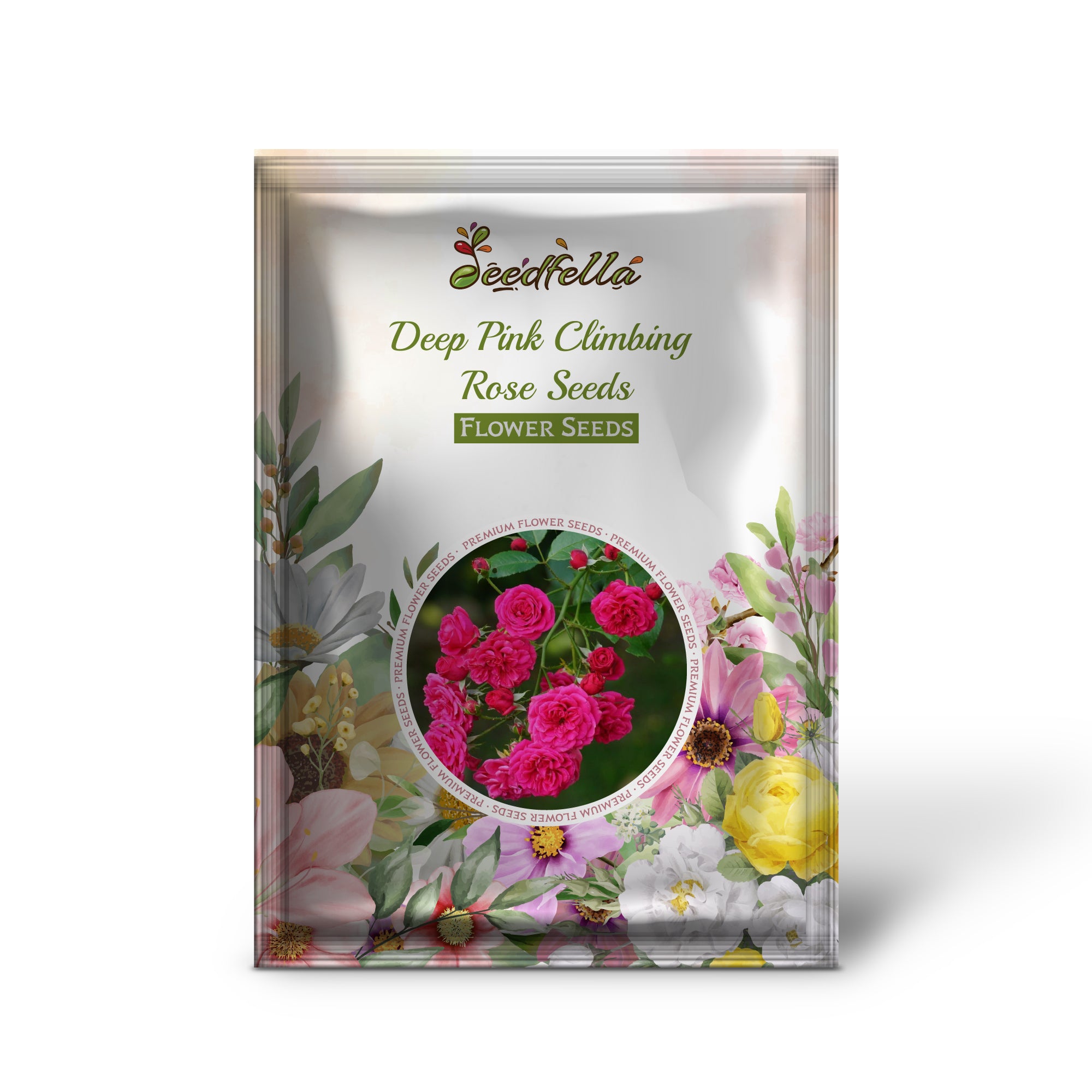 Deep Pink Climbing Rose Blooms on Trellis