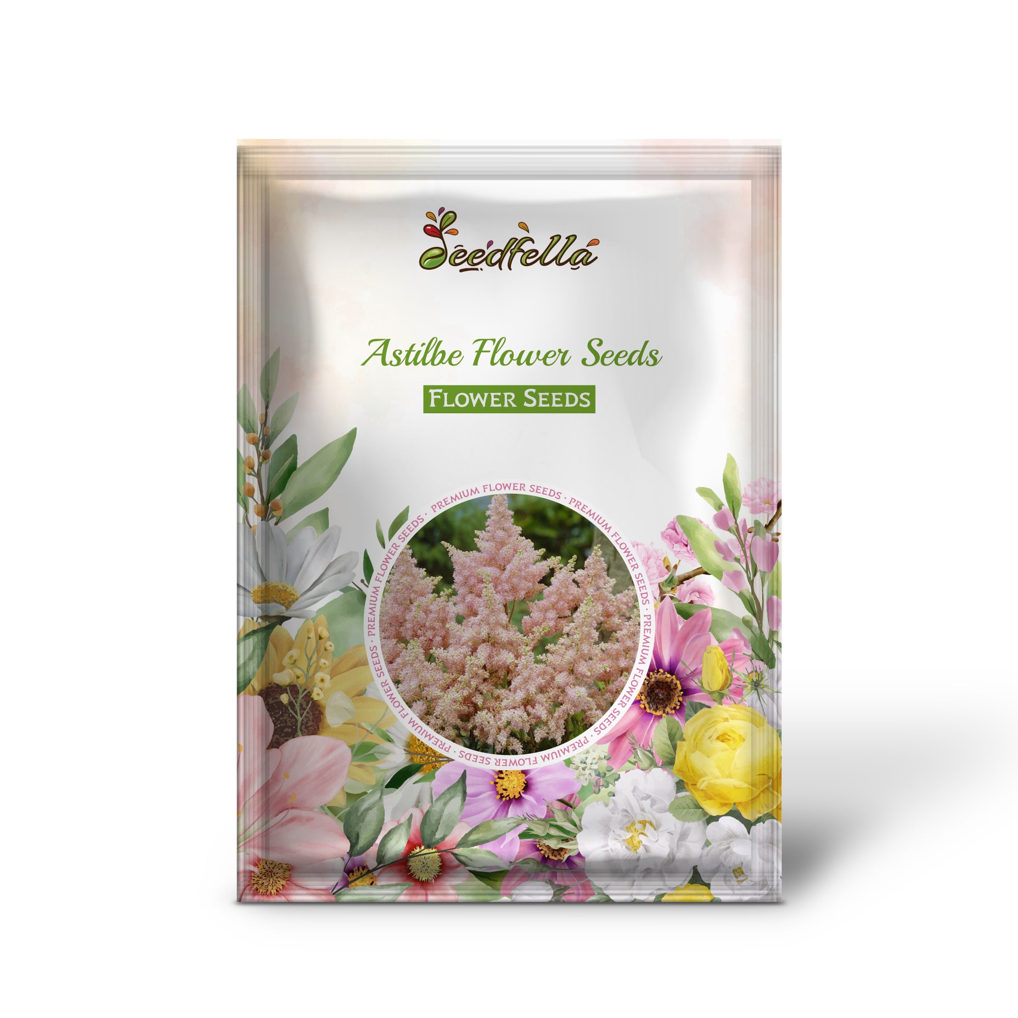 Delicate Light Pink Astilbe Blooms for Garden