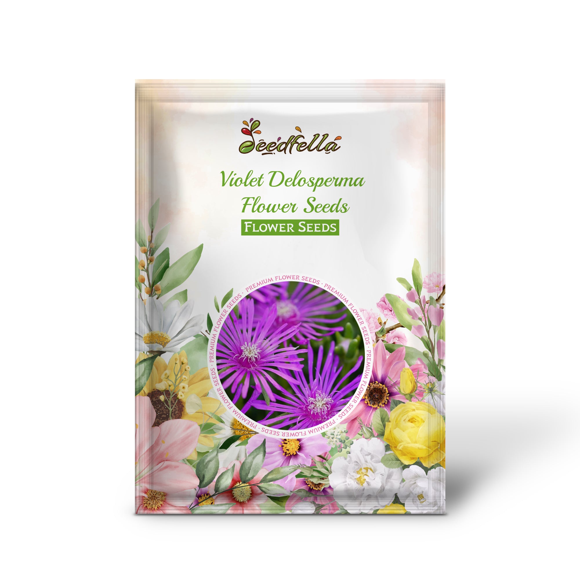 Vibrant Violet Delosperma flowers in full bloom