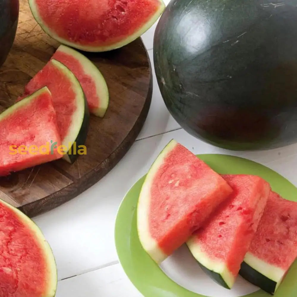 Densuke Watermelon Seeds For Planting | Grow Sweet And Juicy Watermelons At Home Fruit