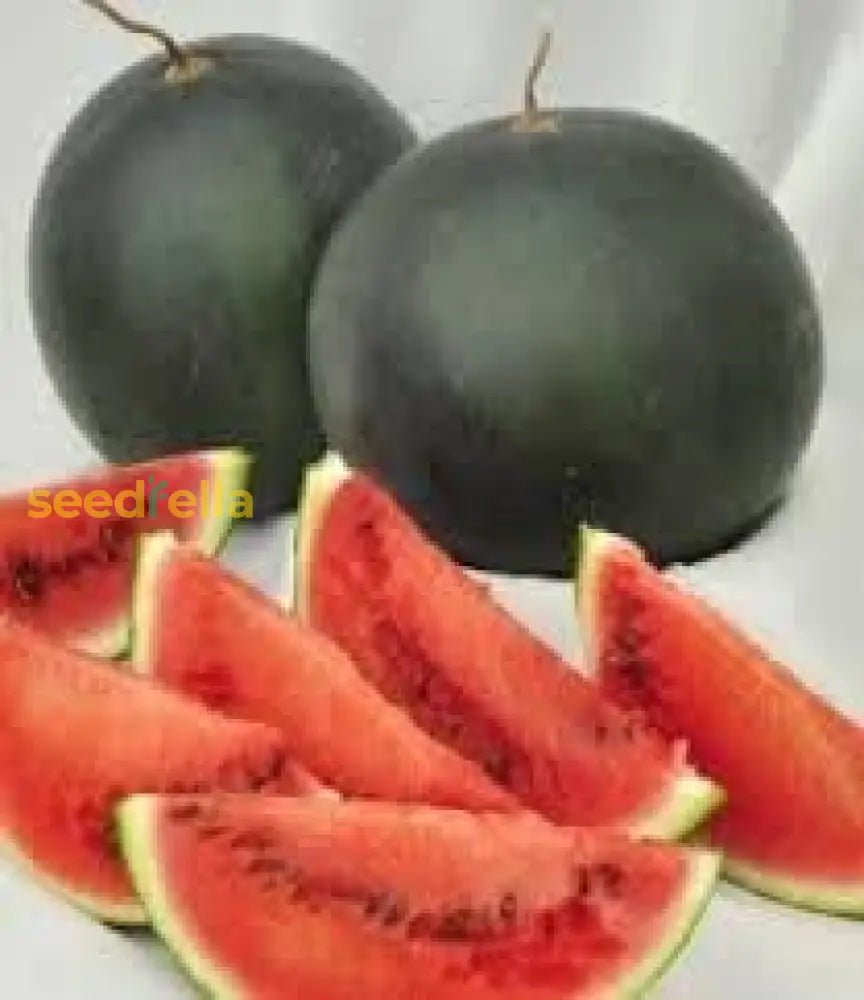 Densuke Watermelon Seeds For Planting | Grow Sweet And Juicy Watermelons At Home Fruit