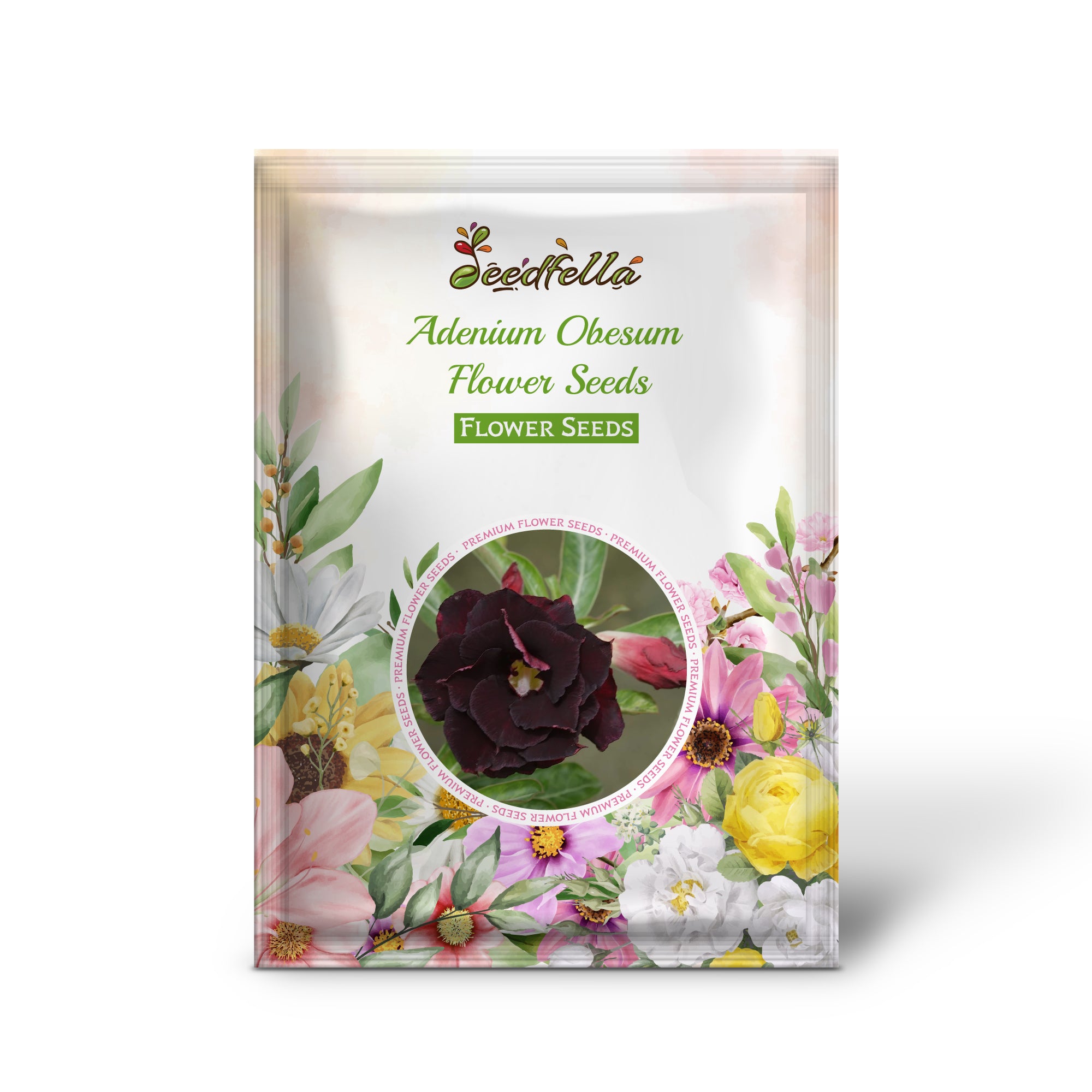 Desert Rose Seeds producing vibrant pink and red blooms