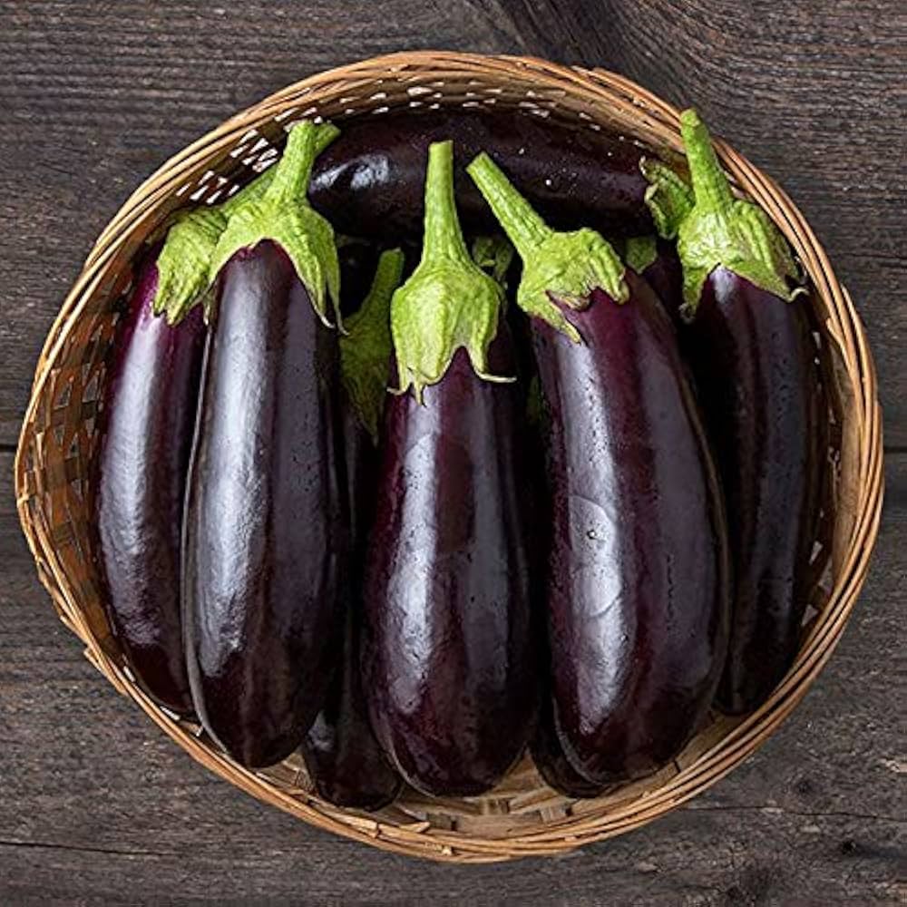 Diamond eggplant seeds for planting non GMO high yield variety