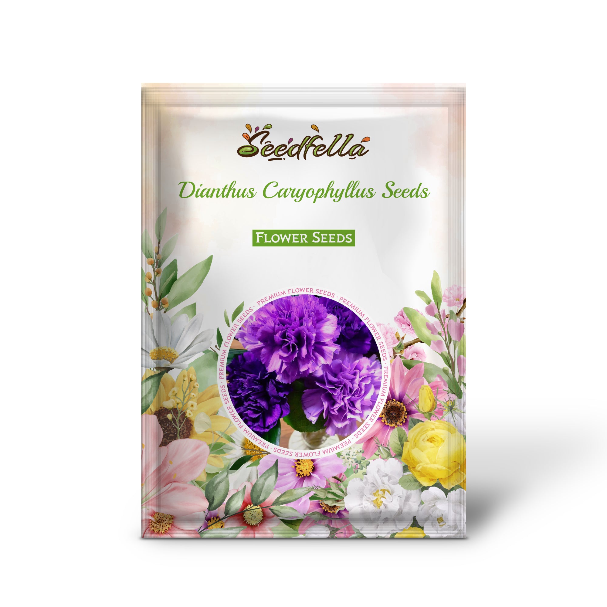 Dianthus caryophyllus seeds germinating seedlings