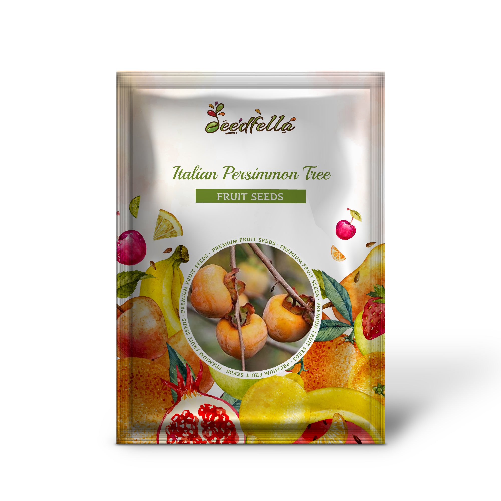 Diospyros lotus Dateplum tree seeds non-GMO fruit variety