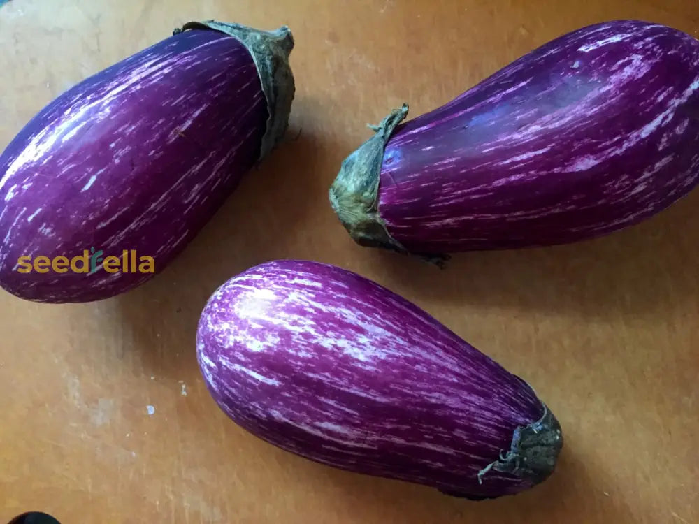 Discover Flavorful Gardening With Eggplant Sweet Fruit Seeds For Mixed Planting