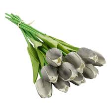 Dark Gray Tulip Flower Seeds for Planting Heirloom NonGMO High Germination Organic Garden Seeds
 
 Sale for planting in home garden