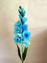 Sky Blue Gladiolus Flower Seeds for Planting Fragrant Blossoms Heirloom & GMO Free Seeds for Home Garden
 
 Sale for planting in home garden