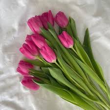 Deep Pink Tulip Flower Seeds for Planting – Heirloom NonGMO High Germination Organic Garden Seeds for Vibrant Spring Blooms
 
 Sale for planting in home garden