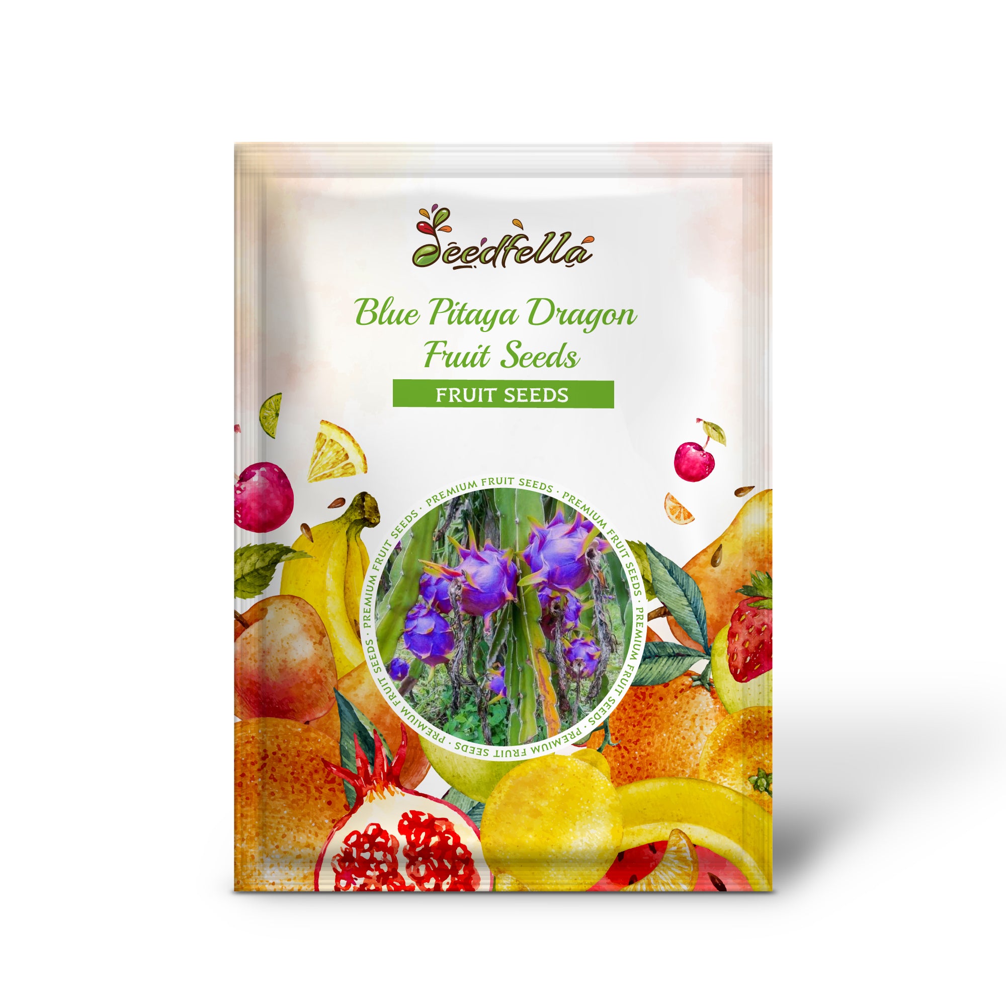 Blue Pitaya dragon fruit seeds germinating seedlings