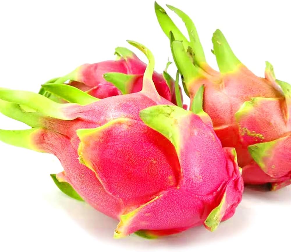 Dragon fruit white pitaya seeds producing exotic white-fleshed fruits