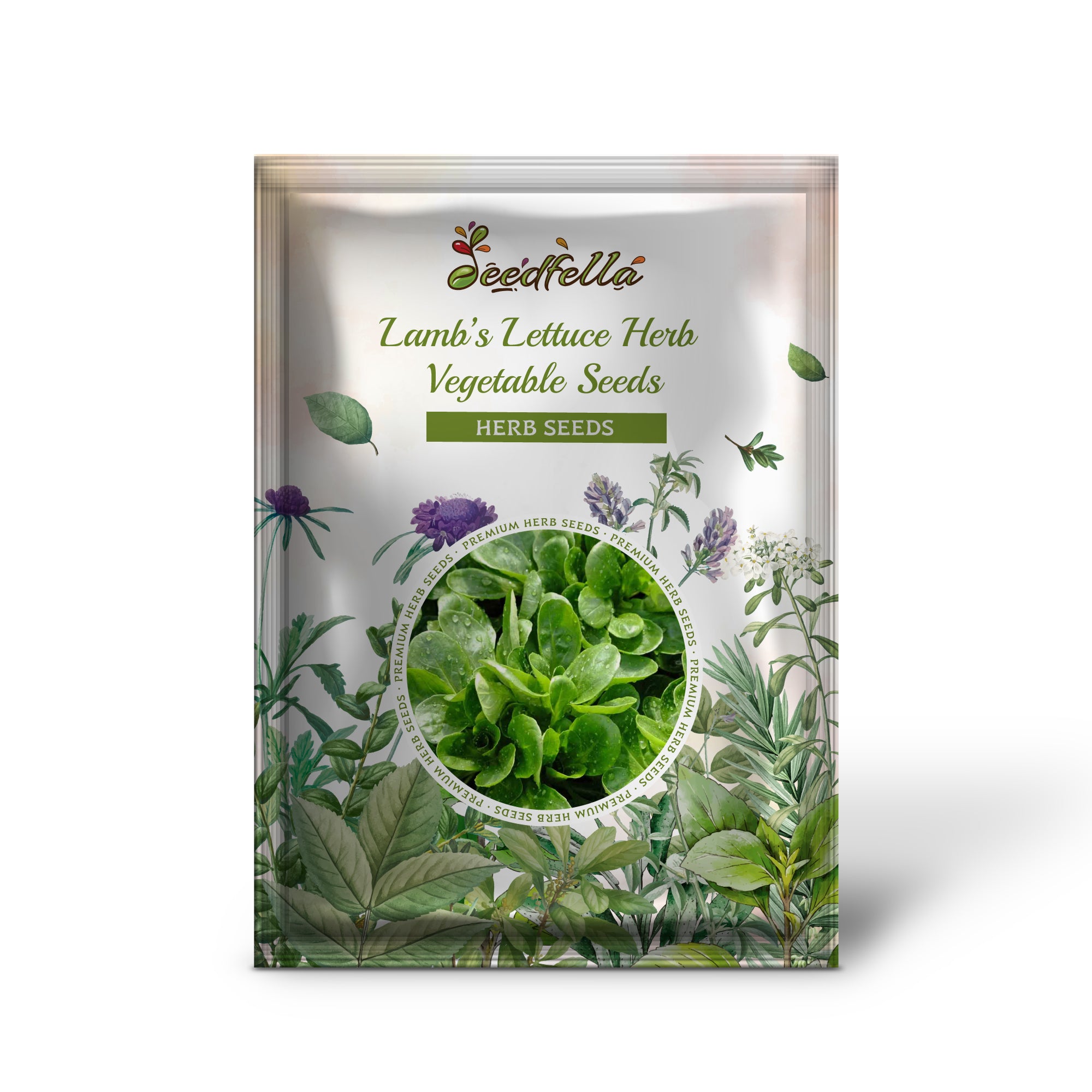 Lamb’s Lettuce grown from Dutch Corn Salad seeds in US gardens**