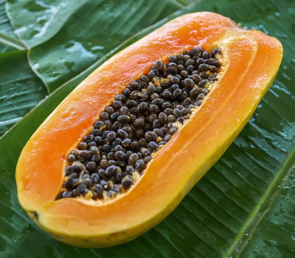 Dwarf Sweet Papaya seeds for planting Carica papaya