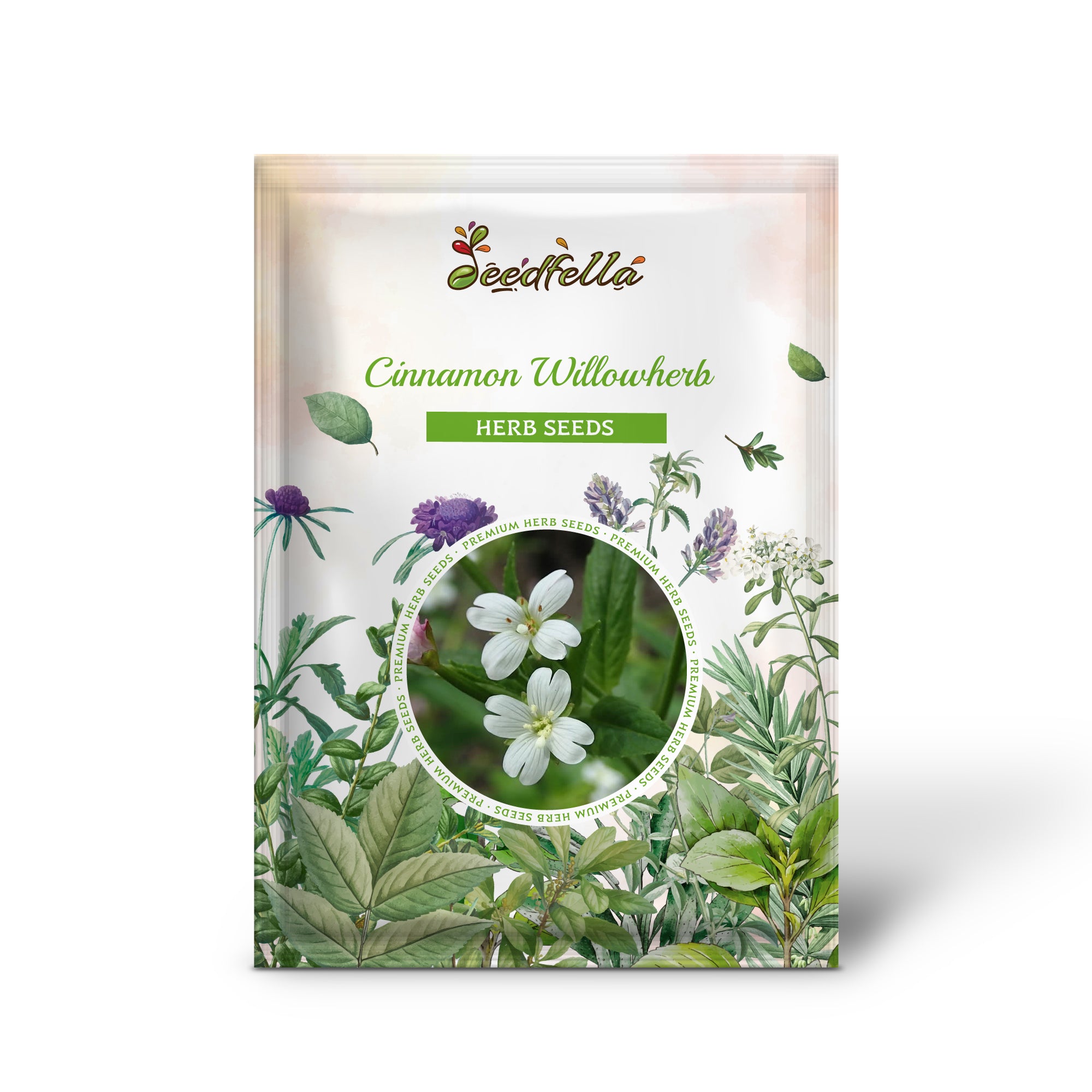 Eastern Purpleleaf Willowherb grown from non-GMO seeds in native gardens