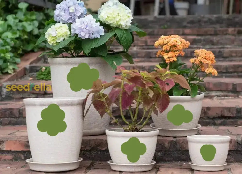 Eco-Friendly 100% Biodegradable Plant Pots – Modern Compostable Flower Wholesale Garden Tools