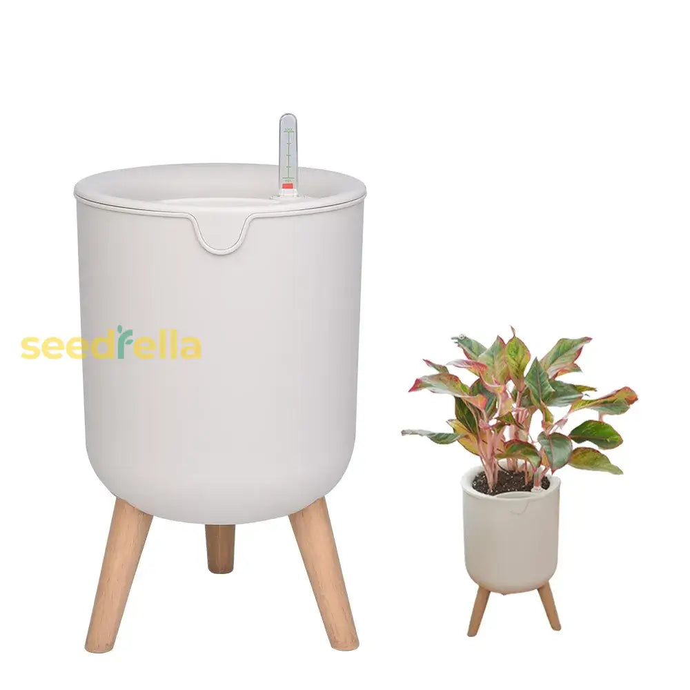 Eco-Friendly Decorative Garden Tree Planter – Customizable Self-Watering Flower Pot With Modern