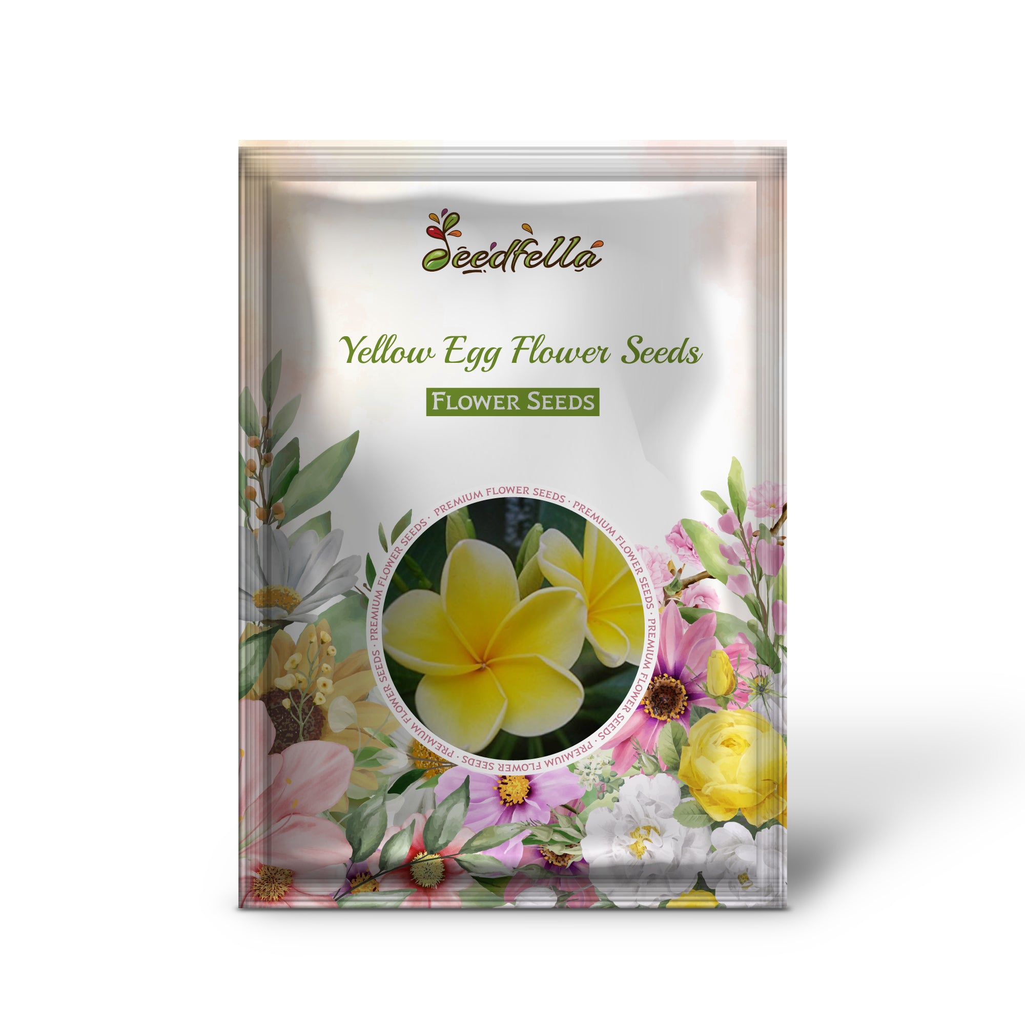 Non-GMO Yellow Egg Flower seeds for home gardens
