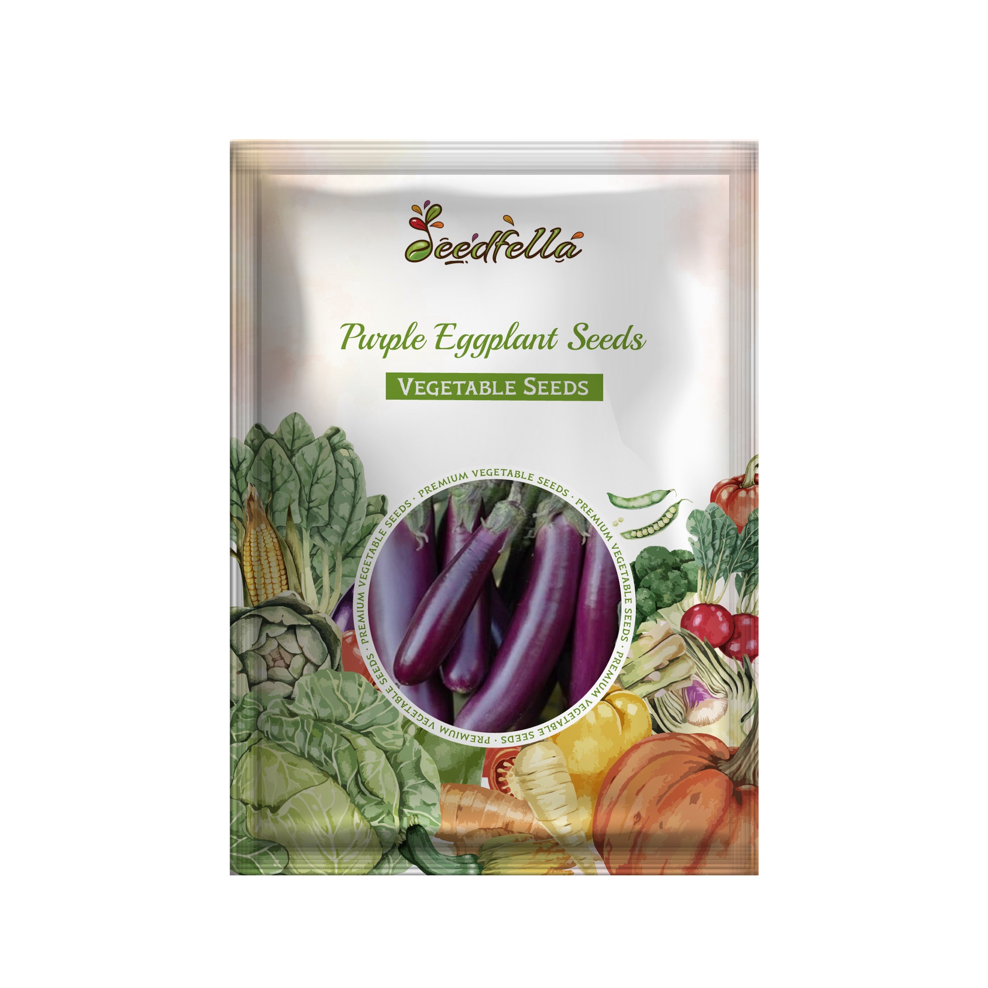 Eggplant seedlings sprouting in garden trays