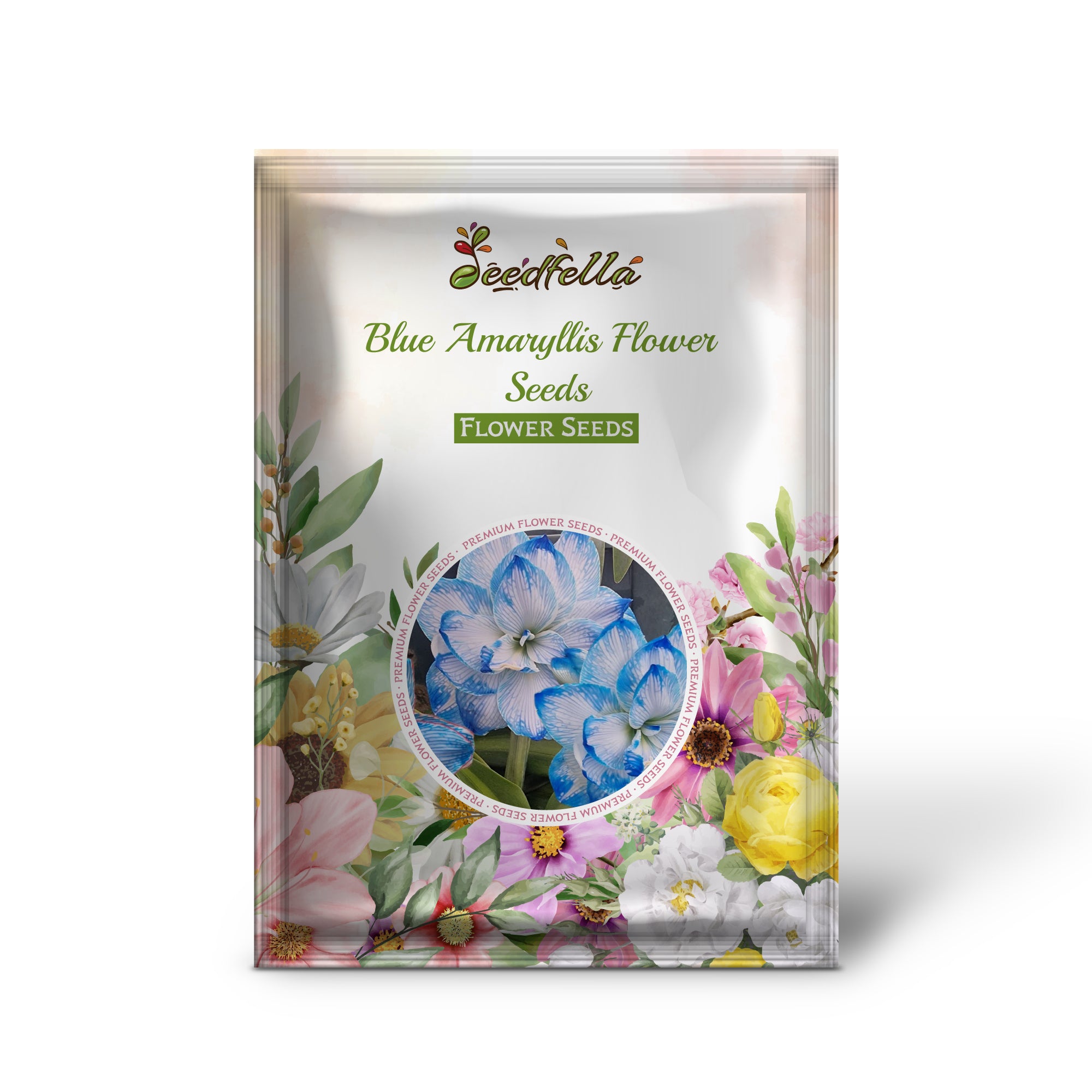 Elegant Blue Amaryllis Flowers in Garden