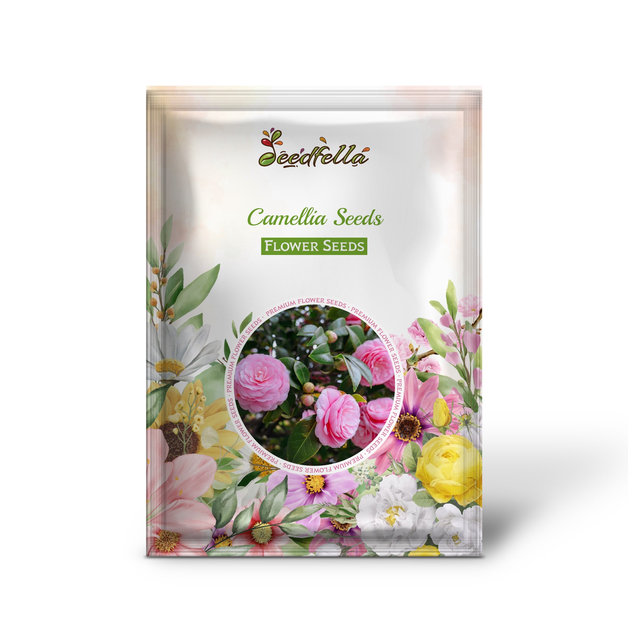 Elegant Camellia Blooms in Garden